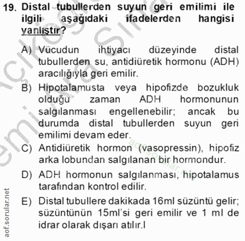 19. soru: Distal-tubullerden suyun geri emilimi ile ilgili aşağıdaki ifadelerden hangisi yanlıştır? A) Vücudun ihtiyacı düzeyin…
