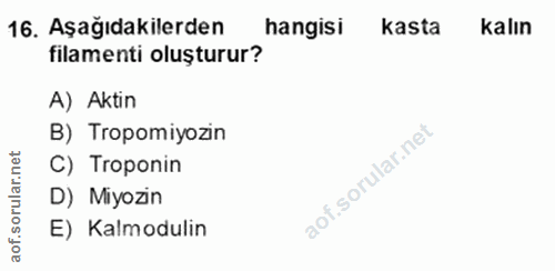 16. soru: Aşağıdakilerden hangisi kasta kalın filamenti oluşturur? A) Aktin B) Tropomiyozin C) Troponin rular. D) Miyozin aof.s…