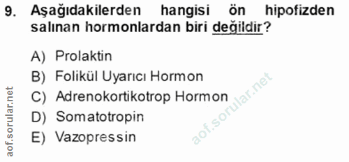 9. soru: Aşağıdakilerden hangisi ön hipofizden salınan hormonlardan biri değildir? A) Prolaktin B) Folikül Uyarıcı Hormon C) A…