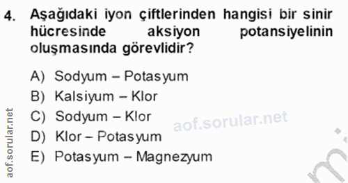 4. soru: Aşağıdaki iyon çiftlerinden hangisi bir sinir hücresinde aksiyon potansiyelinin oluşmasında görevlidir? A) Sodyum - P…