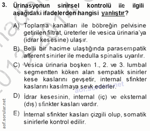 3. soru: Ürinasyonun sinirsel kontrolü ile ilgili aşağıdaki ifadelerden hangisi yanlıştır? A) Toplama kanalları ile böbreğin p…