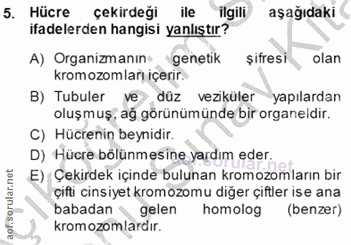 5. soru: Hücre çekirdeği ile ilgili aşağıdaki ifadelerden hangisi yanlıştır? A) Organizmanın- genetik şifresi olan kromozomlar…
