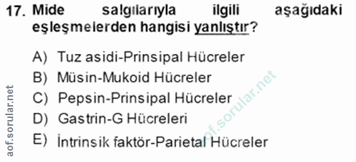 17. soru: Mide salgılarıyla ilgili aşağıdaki eşleşmelerden hangisi yanlıştır? A) Tuz asidi-Prinsipal Hücreler B) Müsin-Mukoid H…