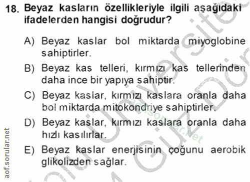 18. soru: Beyaz kasların özellikleriyle ilgili aşağıdaki ifadelerden hangisi doğrudur? A) Beyaz kaslar bol miktarda miyoglobine…