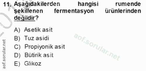11. soru: Aşağıdakilerden hangisi rumende şekillenen fermentasyon ürünlerinden değildir? A) Asetik asit B) Tuz asidi C) Propiyo…