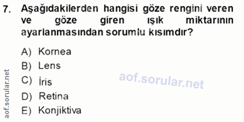 7. soru: Aşağıdakilerden hangisi göze rengini veren ve göze giren Işık miktarının ayarlanmasından sorumlu kısımdır? A) Kornea…