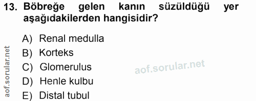 13. soru: Böbreğe gelen kanın süzüldüğü yer aşağıdakilerden hangisidir? A) Renal medulla B) Korteks C) Glomerulus D) Henle kulb…