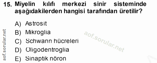 15. soru: Miyelin kılıfı merkezi sinir sisteminde aşağıdakilerden hangisi tarafından üretilir? A) Astrosit B) Mikroglia C) Schw…