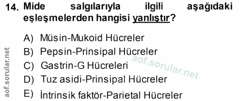 14. soru: Mide salgılarıyla ilgili aşağıdaki eşleşmelerden hangisi yanlıştır? A) Müsin-Mukoid Hücreler B) Pepsin-Prinsipal Hücr…