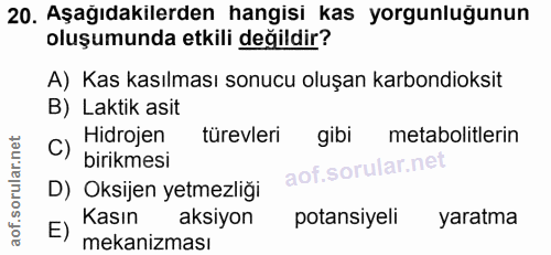 20. soru: Aşağıdakilerden hangisi kas yorgunluğunun oluşumunda etkili değildir? A) Kas kasılması sonucu oluşan karbondioksit B)…