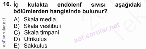 16. soru: Iç kulakta endolenf SIVISI aşağıdaki bölümlerden hangisinde bulunur? A) Skala media B) Skala vestibuli C) Skala timpa…