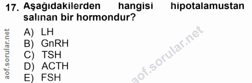 17. soru: Aşağıdakilerden hangisi hipotalamustan salınan bir hormondur? A) LH B) GnRH C) TSH D) ACTH E) FSH