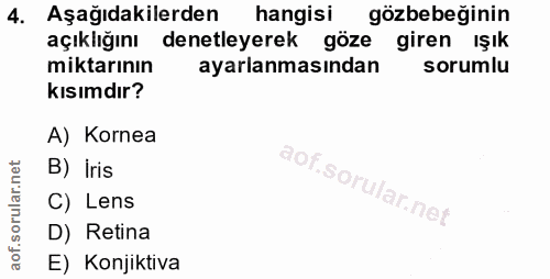 4. soru: Aşağıdakilerden hangisi gözbebeğinin açıklığını denetleyerek göze giren ışık miktarının ayarlanmasından sorumlu kısım…