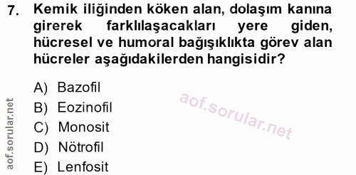 7. soru: Kemik iliğinden köken alan, dolaşım kanına girerek farklılaşacakları yere giden, hücresel ve humoral bağışıklıkta gör…