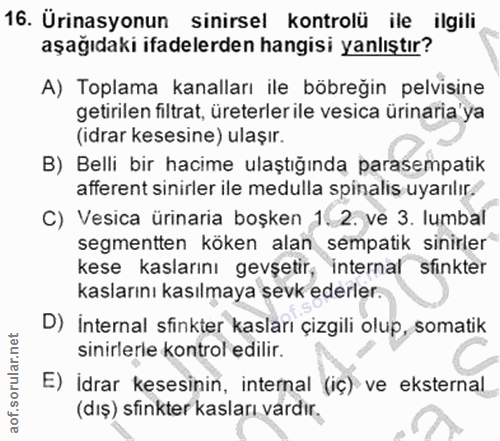 16. soru: Ürinasyonun sinirsel kontrolü ile ilgili aşağıdaki ifadelerden hangisi yanlıştır? A) Toplama kanalları ile böbreğin p…