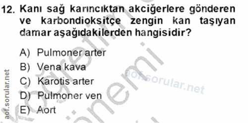 12. soru: Kanı sağ karıncıktan akciğerlere gönderen ve karbondioksitçe zengin kan taşıyan damar aşağıdakilerden hangisidir? A)…