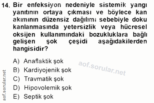 14. soru: Bir enfeksiyon nedeniyle sistemik yangı yanıtının ortaya Çıkması ve böylece kan akımının düzensiz dağılımı sebebiyle…