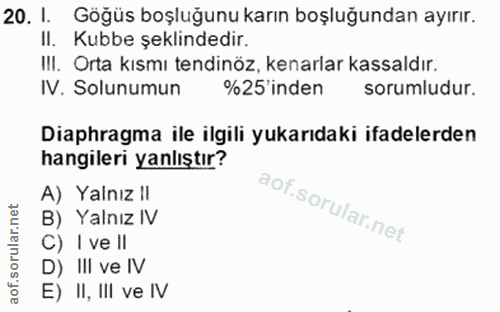 20. soru: I. Göğüs boşluğunu karın boşluğundan ayırır. II. Kubbe şeklindedir. I!I. Orta kısmı tendinöz, kenarlar kassaldır. IV.…