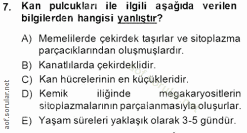 7. soru: Kan pulcukları ile ilgili aşağıda verilen bilgilerden hangisi yanlıştır? A) Memelilerde çekirdek taşırlar ve sitoplaz…