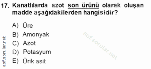 17. soru: Kanatlılarda azot son ürünü olarak oluşan madde aşağıdakilerden hangisidir? A) Üre et B) Amonyak C) Azot D) Potasyum…