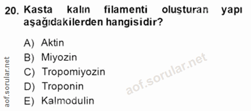 20. soru: Kasta kalın filamenti olusturan yapı aşağıdakilerden hangisidir? A) Aktin B) Miyozin C) Tropomiyozin D) Troponin E) K…