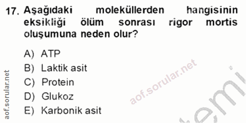 17. soru: Aşağıdaki moleküllerden hangisinin eksikliği ölüm sonrasi rigor mortis oluşumuna neden olur? A) ATP B) Laktik asit C)…