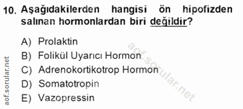 10. soru: Aşağıdakilerden hangisi ön hipofizden salınan hormonlardan biri değildir? A) Prolaktin B) Folikül Uyarıcı Hormon C) A…