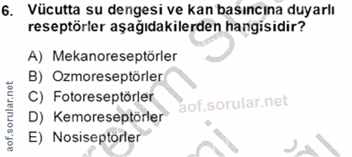 6. soru: Vücutta su dengesi ve kan basıncına duyarlı reseptörler aşağıdakilerden hangisidir? A) Mekanoreseptörler B) Ozmoresep…