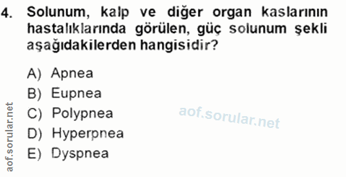 4. soru: Solunum, kalp ve diğer organ kaslarının hastalıklarında görülen, güç solunum şekli aşağıdakilerden hangisidir? A) Apn…