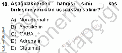18. soru: Aşağıdakilerden hangisi sinir kas birleşme yeri olan uç plaktan salınır? A) Noradrenalin B) Asetilkolin aof.sorularin…