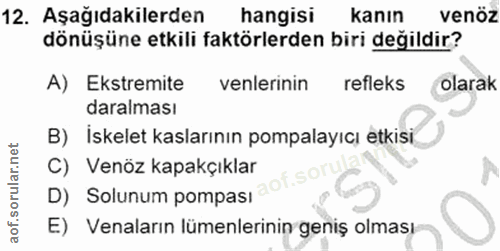 12. soru: Aşağıdakilerden hangisi kanın venöz dönüşüne etkili faktörlerden biri değildir? A) Ekstremite enlerinin refleks olara…