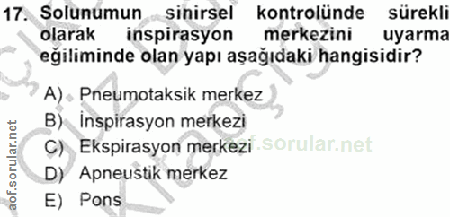 17. soru: Solunumun Sinirsel kontrolünde sürekli olarak inspirasyon merkezini uyarma eğiliminde olan yapı aşağıdaki hangisidir?…