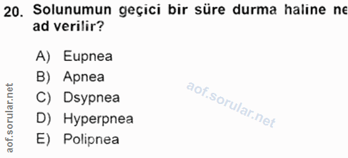 20. soru: Solunumun geçici bir süre durma haline ne ad verilir? A) Eupnea B) Apnea i rular.net C) Dsypnea D) Hyperpnea aof.s E)…