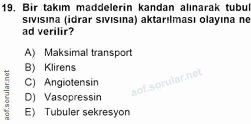 19. soru: Bir takım maddelerin kandan alınarak tubul sıvısına (idrar sıvısına) aktarılması olayına ne ad verilir? A) Maksimal t…