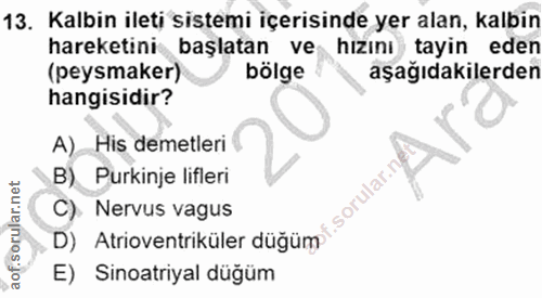 13. soru: Kalbin ileti sistemi içerisinde yer alan, kalbin hareketini başlatan ve hızını tayin eden (peysmaker) bölge aşağıdaki…