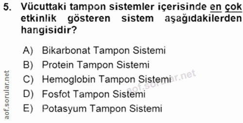 5. soru: Vücuttaki tampon sistemler içerisinde en çok etkinlik gösteren sistem aşağıdakilerden hangisidir? A) Bikarbonat Tampo…