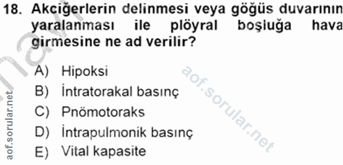 18. soru: Akciğerlerin delinmesi veya gögüs duvarının yaralanması ile plöyral boşiuğa hava girmesine ne ad verilir? A) Hipoksi…