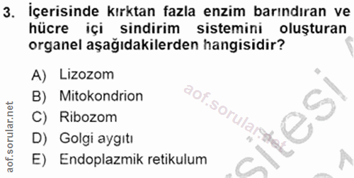 3. soru: İçerisinde kırktan fazla enzim barındıran ve hücre içi sindirim sistemini oluşturan organel aşağıdakilerden hangisidi…