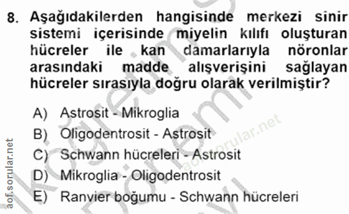 8. soru: Aşağıdakilerden hangisinde merkezi sinir sistemi içerisinde miyelin kılıfı oluşturan hücreler ile kan damarlarıyla nö…
