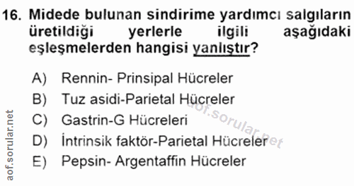 16. soru: Midede bulunan sindirime yardımcı salgıların üretildiği yerlerle ilgili aşağıdaki eşleşmelerden hangisi yanlıştır? A)…