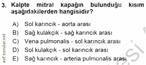 3. soru: Kalpte mitral kapağın bulunduğu kısım aşağıdakilerden hangisidir? A) Sol karıncık - aorta arası B) Sağ kulakçık - sağ…