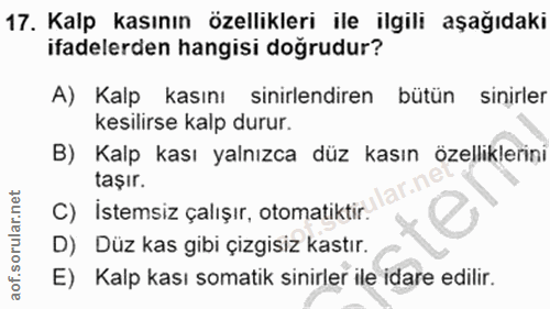 17. soru: Kalp kasının özellikleri ile ilgili aşağıdaki ifadelerden hangisi doğrudur? A) Kalp kasını sinirlendiren bütün sinirl…
