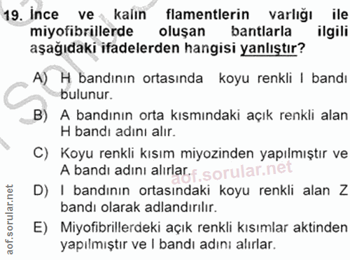 19. soru: Ince ve kalın flamentlerin varlığı ile miyofibrillerde oluşan bantlarla ilgili aşağıdaki ifadelerden hangisi yanlıştı…