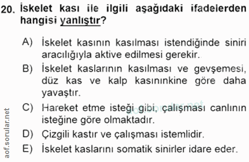 20. soru: Iskelet kası ile ilgili aşağıdaki ifadelerden hangisi yanlıştır? A) İskelet kasının kasılması istendiğinde siniri ara…