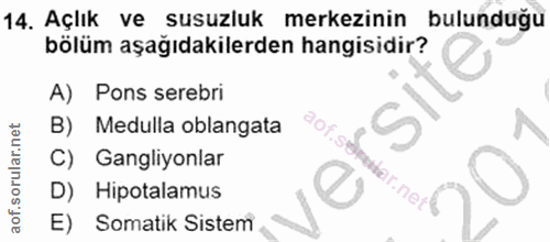 14. soru: Açlık ve susuzluk merkezinin bulunduğu bölüm aşağıdakilerden hangisidir? site A) Pons serebri B) Medulla oblangata C)…