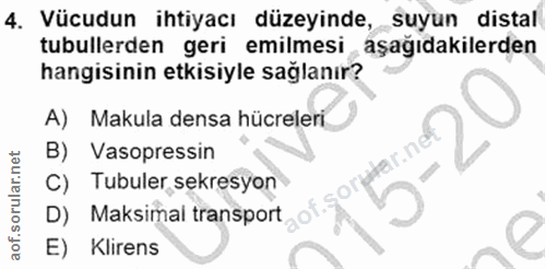 4. soru: Vücudun ihtiyacı düzeyinde, suyun distal tubullerden geri emilmesi ,aşağıdakilerden hangisinin etkisiyle sağlanır? A)…