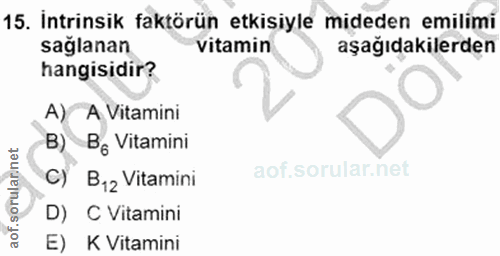 15. soru: İntrinsik faktörün etkisiyle mideden emilimi sağlanan vitamin aşağıdakilerden hangisidir? A) A Vitamini B) Bg Vitamin…