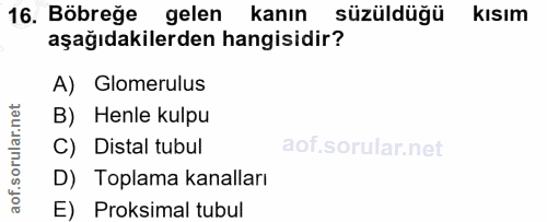 16. soru: Böbreğe gelen kanın süzüldüğü kısım aşağıdakilerden hangisidir? A) Glomerulus B) Henle kulpu C) Distal tubul D) Topla…