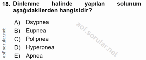 18. soru: Dinlenme halinde yapılan solunum aşağıdakilerden hangisidir? A) Dsypnea B) Eupnea C) Polipnea D) Hyperpnea E) Apnea