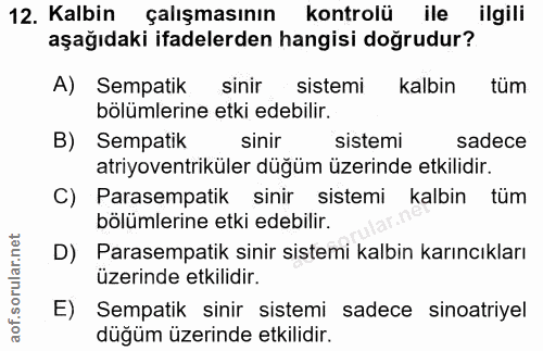 12. soru: Kalbin çalışmasının kontrolü ile ilgili aşağıdaki ifadelerden hangisi doğrudur? A) Sempatik sinir sistemi kalbin tüm…